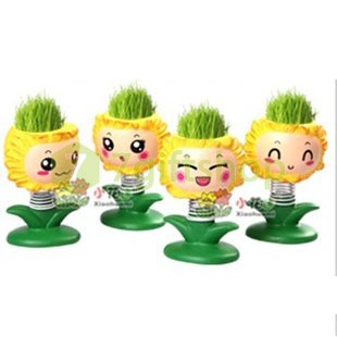 Cỏ Tóc Hoa Hướng Dương