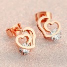 Bông Tai Inox Mạ Vàng 30103001